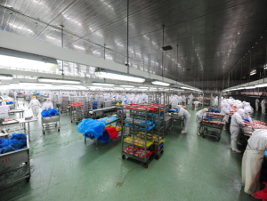 Food Quick Freezing Factory Solutions for Freshness
