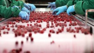 Frozen Food Manufacturing Process